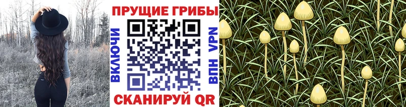 Галлюциногенные грибы MAGIC MUSHROOMS  Зерноград 
